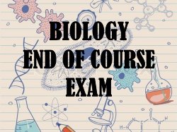 BIO STAAR